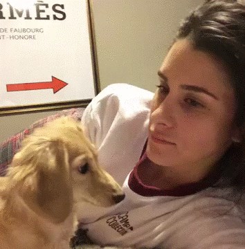 Zabranjeno zijevanje u blizini ovog psa