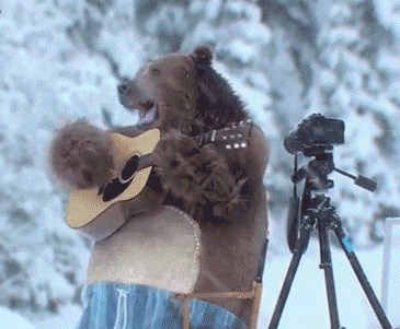 GIF: Romantični 'medo'