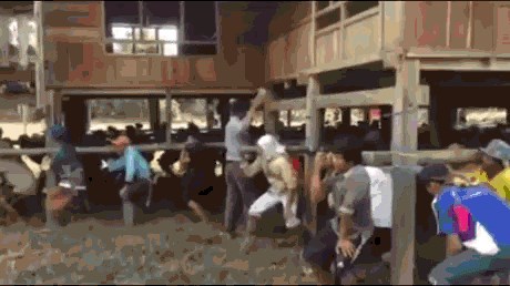 GIF: Evo kako u Aziji mijenjaju kućnu adresu!