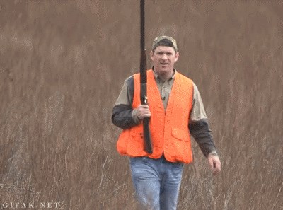 GIF: Ne vjeruješ dok ne vidiš, pa čak ni onda