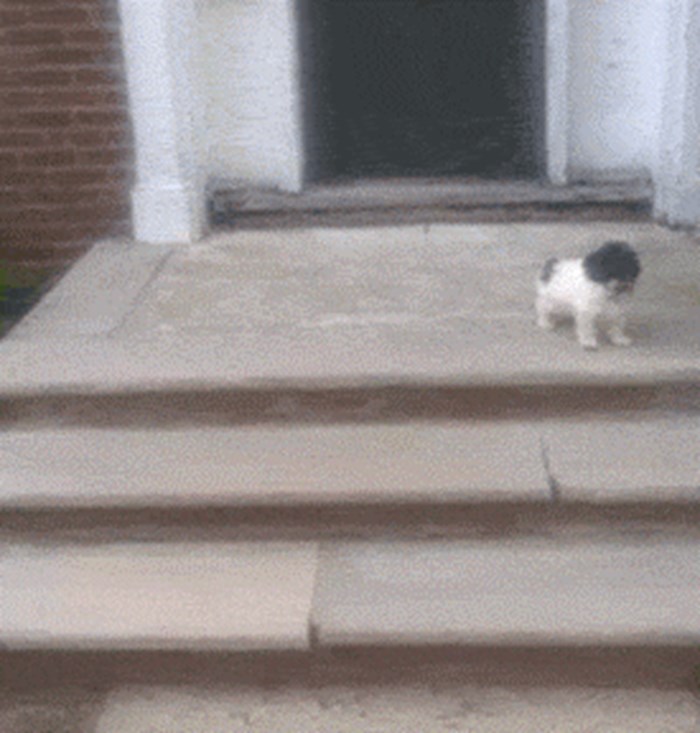 Stepenice su prevelika prepreka za njega