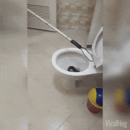 Kada ovo vidite, svaki put ćete provjeravati WC prije korištenja!