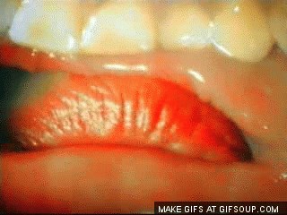 GIF: Ajme majko, ovako ljubljenje izgleda s unutrašnje strane usta