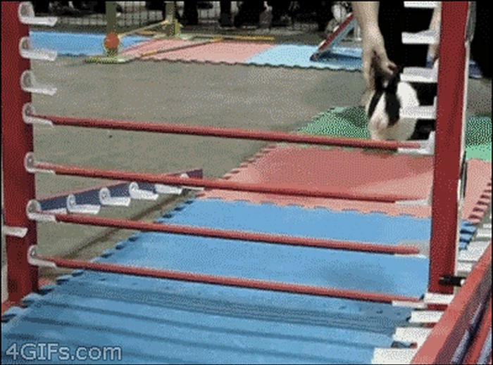 um caruje snaga klade valja..gif