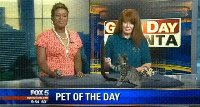 "Ljubimac dana" opravdao je titulu i nasmijao gledatelje jutarnjeg TV programa