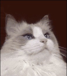 Netko nije obožavatelj pranja zubića