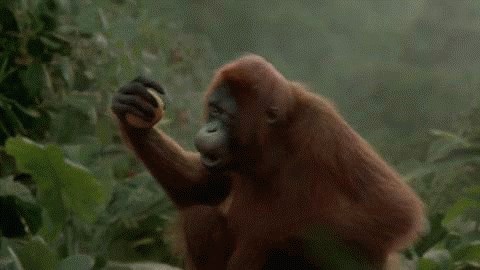 A koliko ste produktivni vi bili danas?