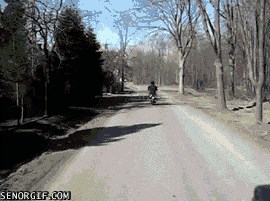 Na skuteru je vozio ljestve, a onda se iza njega pojavio automobil