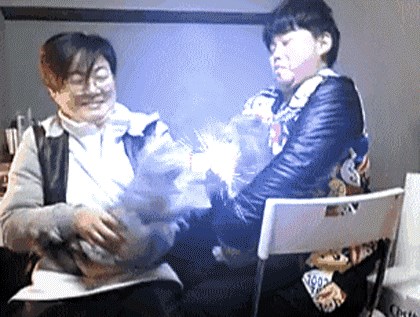 GIF: Kad se mačke potuku sve frca!