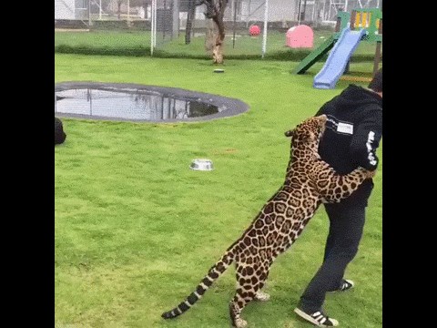 GIF: A mazi me, mazi me, mazi!!!