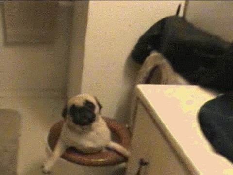 Ono kad si u problemima do grla 