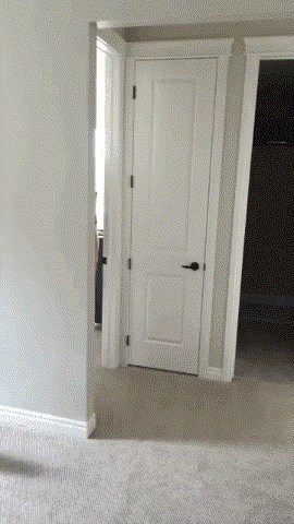 GIF: Maca totalno izignorirala vlasnicu koja ju je htjela preplašiti