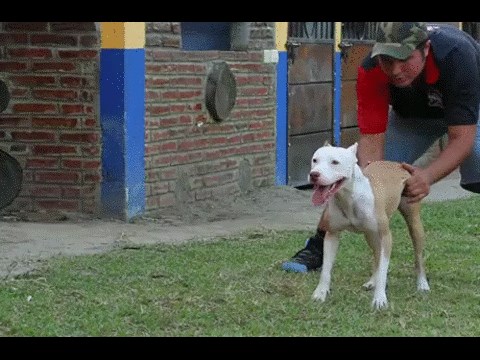 GIF: Antigravitacijski pas!