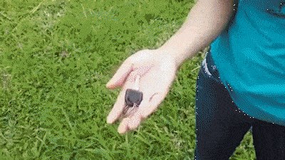 Muškarci nikada neće riješiti misterij ženske torbice