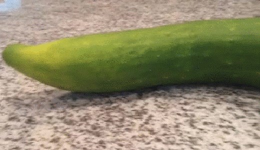 Ono kad cijeli dan ništa nisi jeo