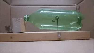 Odlično smišljena mišolovka koja miša neće ubiti!