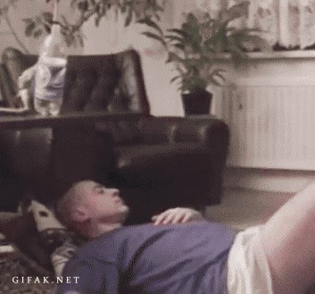 Papiga se konačno osvetila svome vlasniku, drijemanje na podu bila je loša ideja!