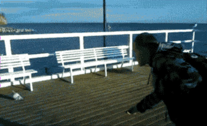 GIF: Ima pravde!