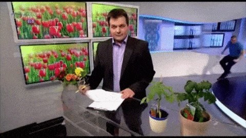 GIF: Nesvakidašnja scena na televiziji!
