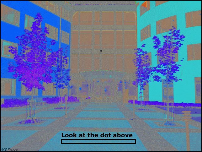 GIF: Gledaš i ne vjeruješ!