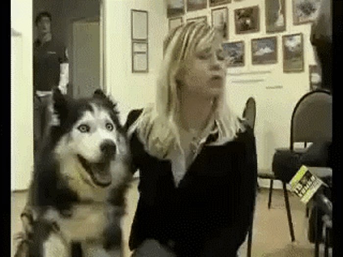 Kad je prvi put stao pred kameru, pas je bio oduševljen