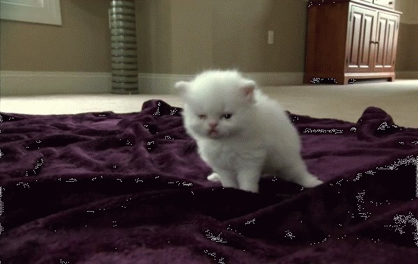 Ono kada se pokušavaš suočiti s prvim ponedjeljkom u godini