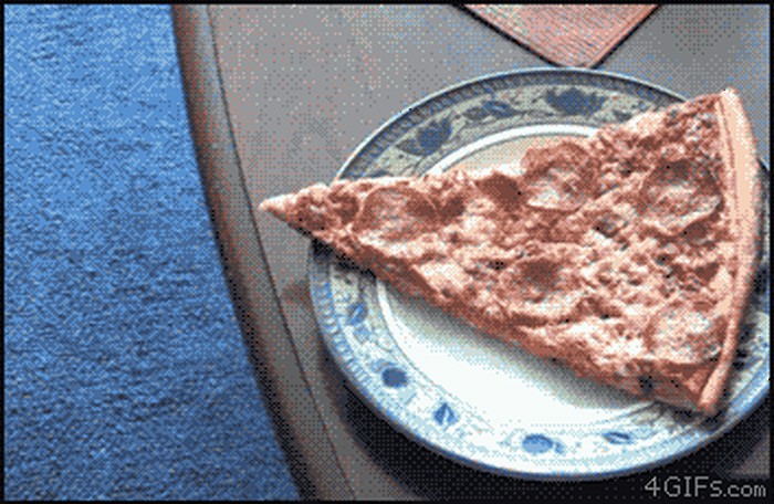 GIF: Tih, ali učinkovit kradljivac pizze