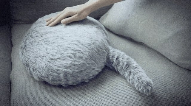 Što je to čupavo, debelo i maše repom? Ljubitelji mačaka su dobili zanimljivu zamjenu!