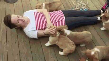 GIF: Mala čudovišta kreću u napad