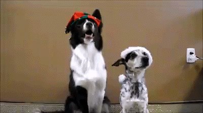 GIF: Daj jedan božićni selfie!