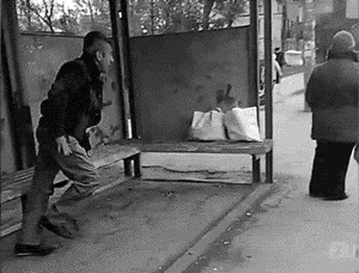 GIF: Kad je karma brža od pameti