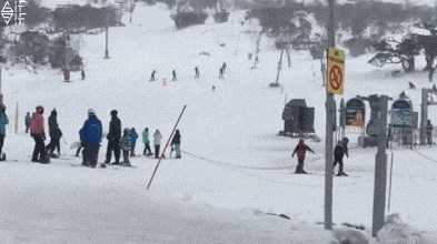 NEOČEKIVANI GOST Dok su uživali u skijanju, ugledali su nešto što se nikako ne uklapa u zimsku idilu