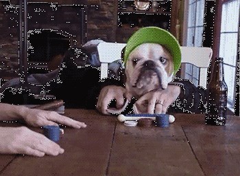 Pasonja ima pravi poker face