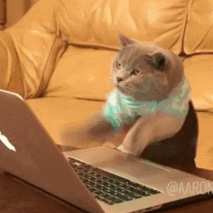 Ono kad se kreneš svađati s ljudima na internetu