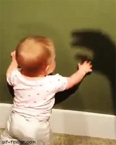 GIF Beba se igrala sa sjenom, no nije ni zamišljala da to može biti ovako opsano