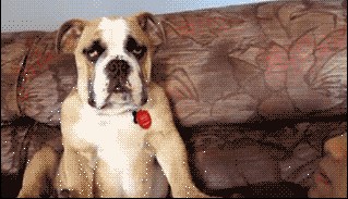 On je ustao pa odustao 