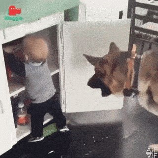 Postoji razlog zbog kojeg su mala djeca i životinje najbolji prijatelji