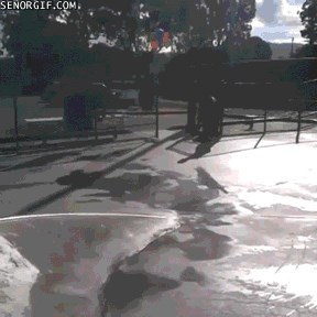 GIF: Ijaoooooo, srećkoviću prevarantski!