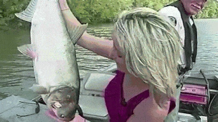 GIF: Riba se mrdnula, žena sišla s uma i podivljala