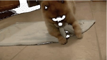 ovo  je nasjađi smotuljak ikada! 