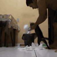 Ti si napravila nered, ti ćeš ga i čistiti