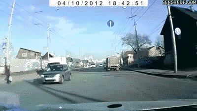 Hitna pomoć je umalo dobila novog klijenta, ženu su spasili mačji refleksi vozača!