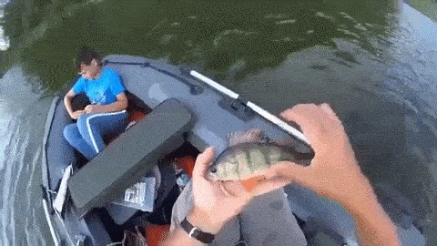 Pravilo broj 1 za mlade ribiče: iPad ostavite doma!