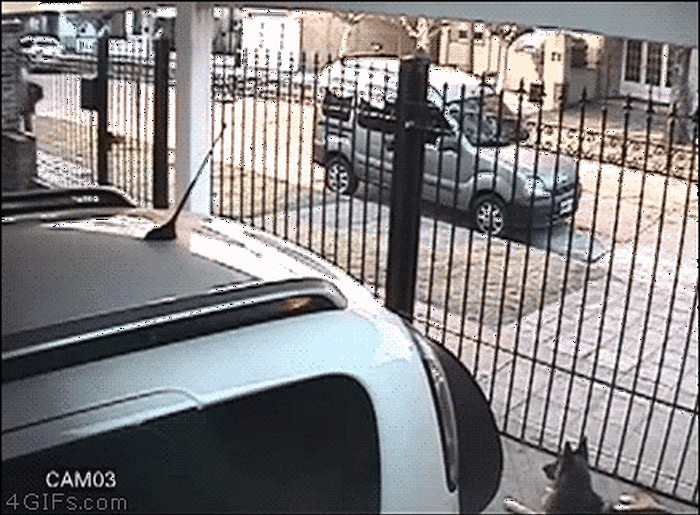 GIF: Odlično se snašla i od lopova napravila budalu