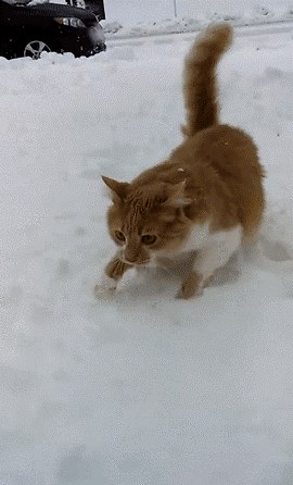 Svi smo ovo barem jednom doživjeli kad smo bili djeca