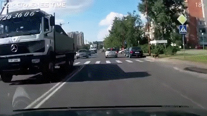 GIF: Pas pažljivo prelazi zebru