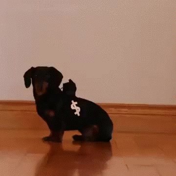 Ako se lopovi pojave u njihovoj kući, neće dobro proći!