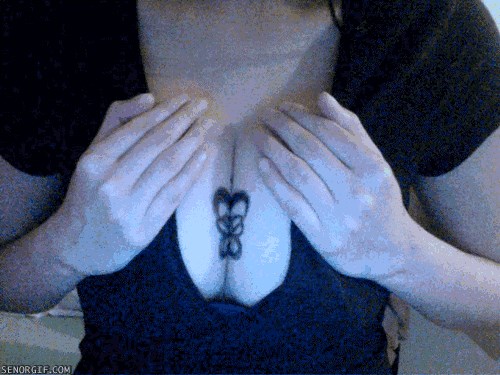 GIF: Interaktivna titovaža!