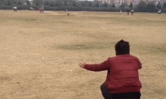 Onaj čudan osjećaj kad vas vlastiti pas razočara