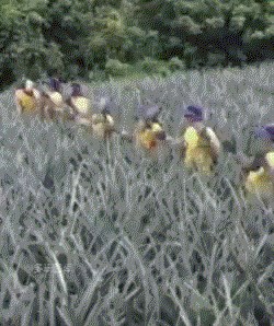 Genijalan timski rad: Pored ovakvih zaposlenika, roboti nisu ni potrebni!